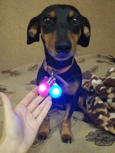 pendentif collier lumineux chien