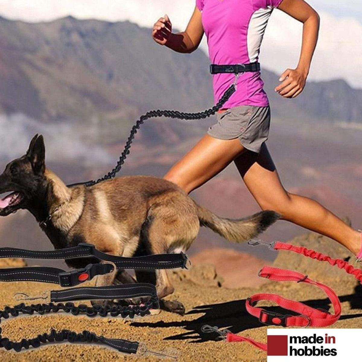Laisse pour chien élastique – Laisse de course et de randonnée 122 cm