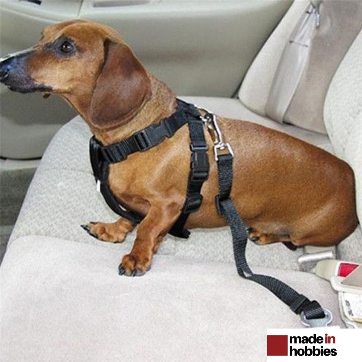 Laisse de sécurité voiture pour chien : longueur 24 cm