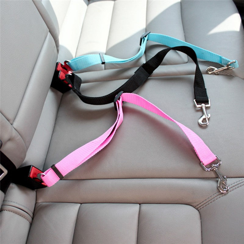 Laisse ceinture de sécurité pour chien Kerbl • Transport en voiture