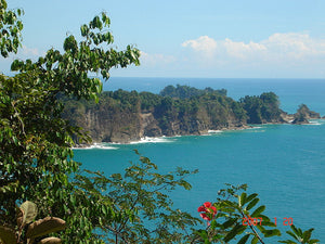 Parc National Manuel Antonio Costa Rica - Nos conseils et Astuces