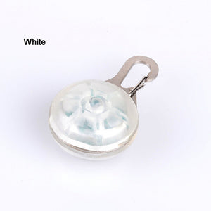 Lumière pour collier chien - Lampe LED pour collier - Chien | Chat - Universel
